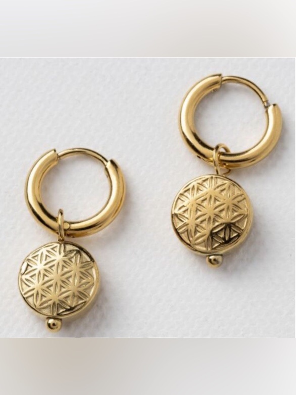 Plunder Jewelry Hartley Gold plated hoop Charm Earrings